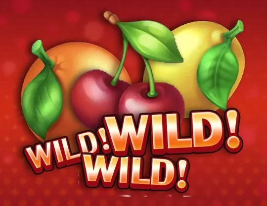 Wild Wild Wild Riddec Games